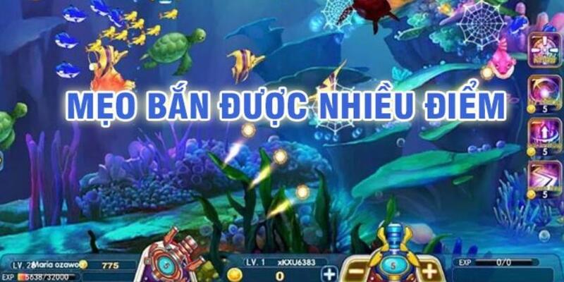 daga win đá gà