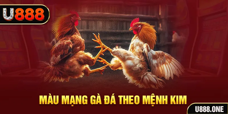 daga win gà chọi tiêu phong