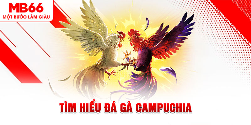 daga win tại sao không tải được nổ hũ
