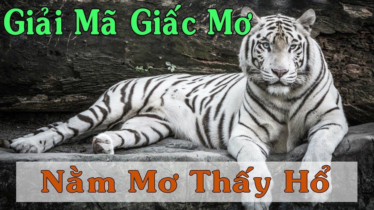 daga win xổ số miền trung