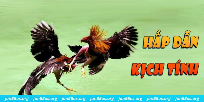 daga win bắn cá long vương