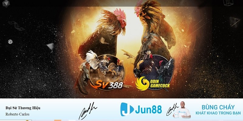 daga win xổ số miền nam hàng tuần