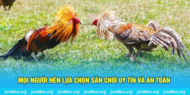 daga win hơn cả bạn bè
