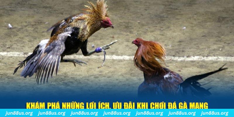 daga win Tài Xỉu 2