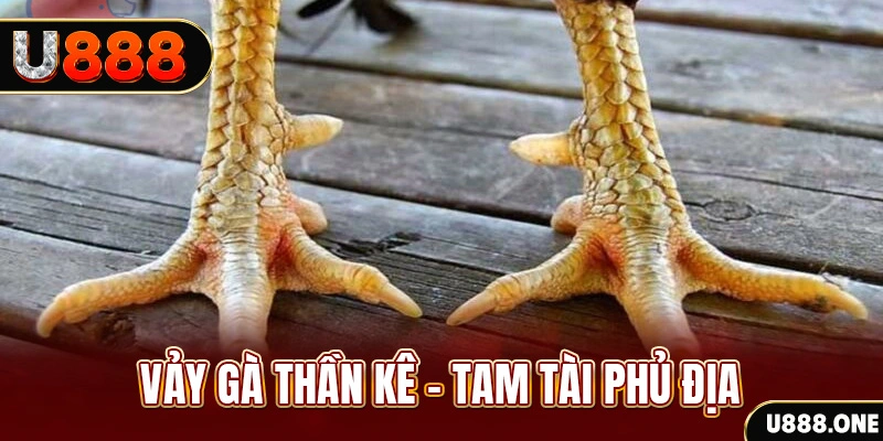 daga win xổ số 30 ngày