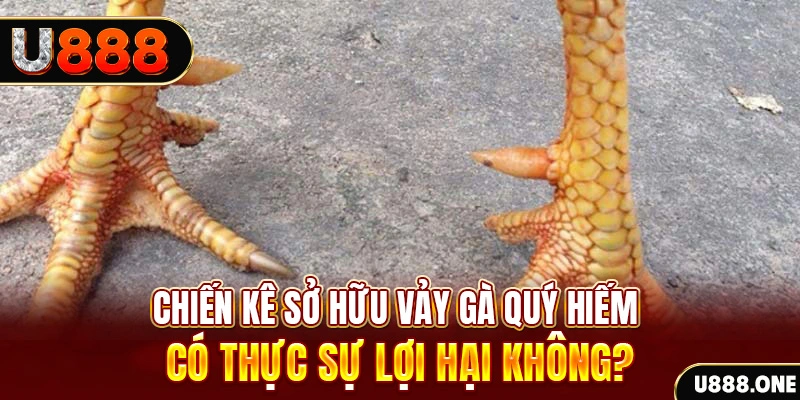 daga win game cá cược máy bay