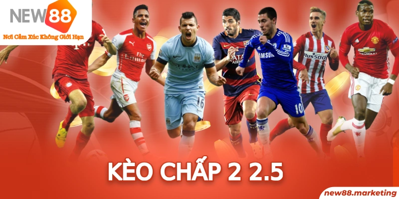 daga win trực tiếp đá gà thomo