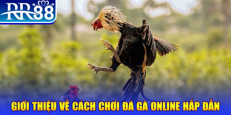 daga win nổ hũ 2 mặt là gì