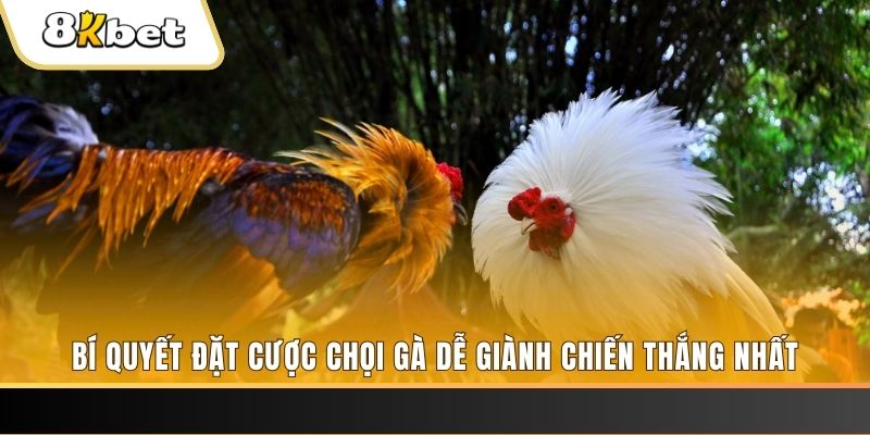 daga win may club nổ hũ