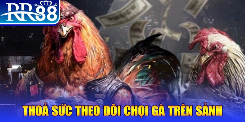 daga win NE Điện Tử