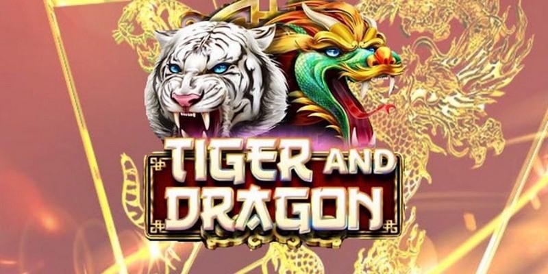 daga win cá cược tiếng anh là gì