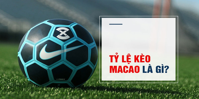 daga win Trăm Knorr