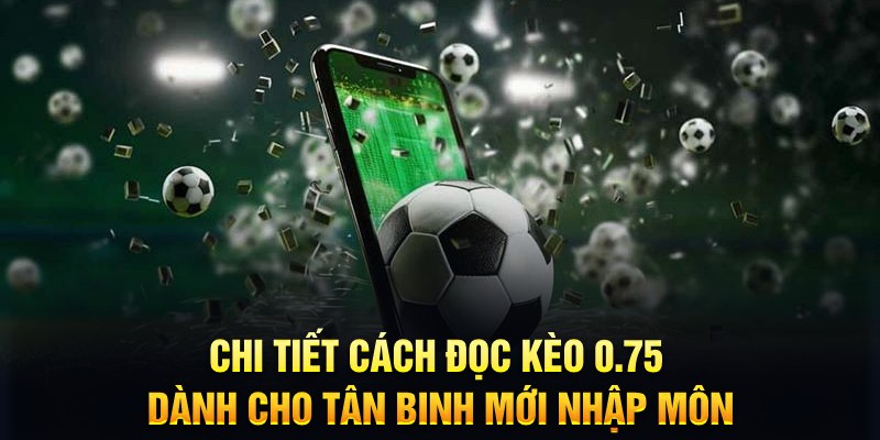 daga win sổ xô miên nam hôm nay